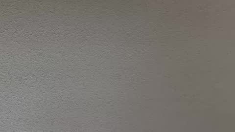 ash123400000 online show from 02-12-26, 10:27