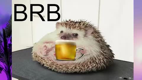 AshleyAshe  online show from 02-16-25, 08:22