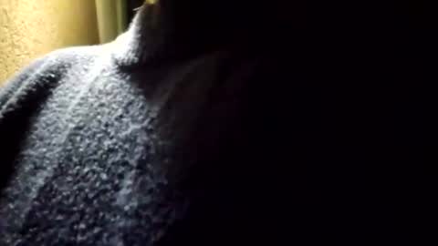 Snapshot of ashelynngrey1986 chatting on 06-29-26, 04:30 Ashelynn Grey online show from 06-29-26, 04:30