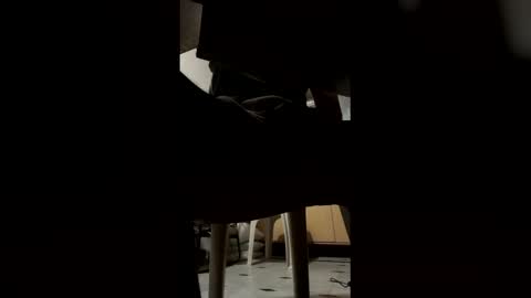 Snapshot of ashutoshkhanna chatting on 02-15-26, 07:32 ashutoshkhanna online show from 02-15-26, 07:32