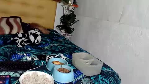 asianladyboy888 online show from 11-24-25, 04:07