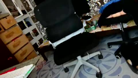 Trish online show from 12-01-25, 06:07