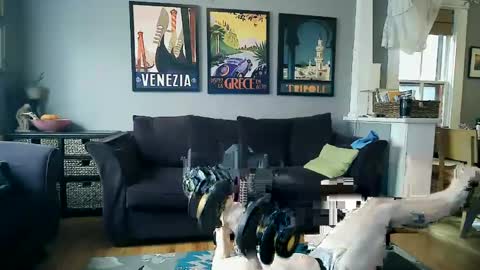 assmaster_6100 online show from 02-11-25, 08:52