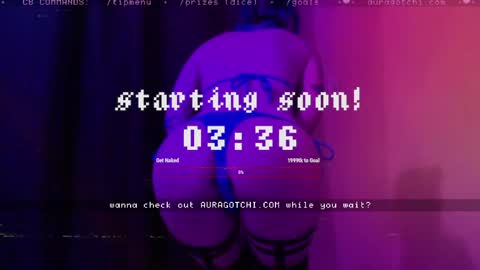 Aurora  Aura online show from 04-11-26, 09:08