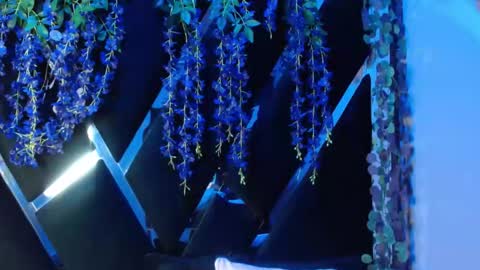 Snapshot of aurora18palmer chatting on 09-18-25, 02:19 aurora online show from 09-18-25, 02:19