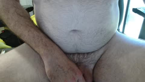 auscock83 online show from 02-02-25, 11:53