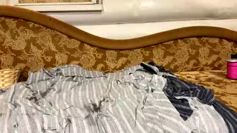 automaria online show from 07-21-26, 10:39
