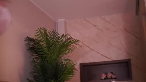 Snapshot of avamaddisson chatting on 02-06-26, 04:39 Ava online show from 02-06-26, 04:39