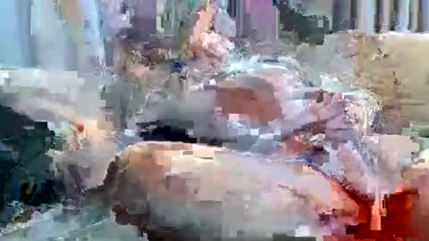 averagejoe2025 online show from 11-18-25, 01:22