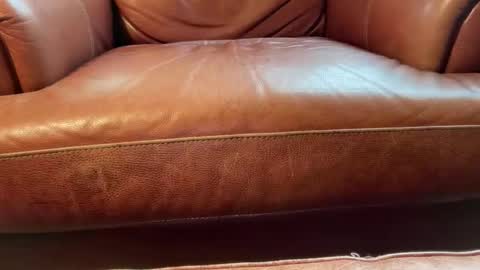 avgdiver online show from 01-18-26, 08:23