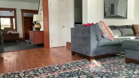 avgdiver online show from 02-12-26, 08:59