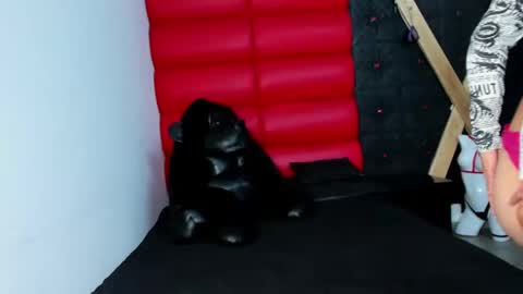 Snapshot of avi_thomsonn chatting on 03-13-26, 03:13 avi_thomsonn online show from 03-13-26, 03:13