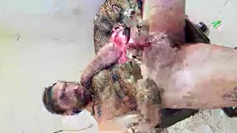 Snapshot of axelpadilla98 chatting on 03-04-26, 12:38 deliciosodemente online show from 03-04-26, 12:38