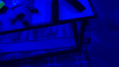 Snapshot of ayla_ty chatting on 09-28-25, 06:30 AylaTy online show from 09-28-25, 06:30