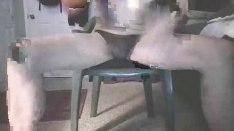 Snapshot of b_johnson420 chatting on 11-16-25, 08:42 bjohnson420 online show from 11-16-25, 08:42