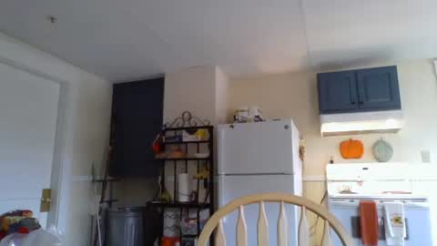 Snapshot of babiifern chatting on 10-14-25, 02:29 Fern Browning online show from 10-14-25, 02:29