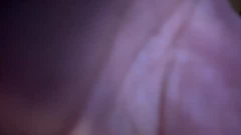 Snapshot of baby_buddha chatting on 01-29-25, 01:28 baby buddha  online show from 01-29-25, 01:28