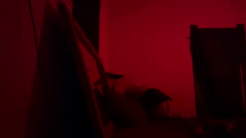 yasmin blake online show from 02-25-25, 07:52