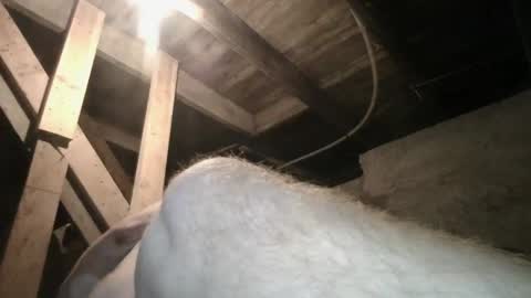 Snapshot of babyxxxangel chatting on 09-20-25, 09:43 babyxxxangel online show from 09-20-25, 09:43