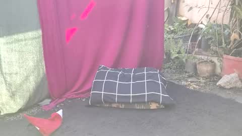 Snapshot of bad_wolf28 chatting on 11-25-25, 10:26 bad_wolf28 online show from 11-25-25, 10:26