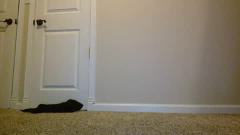 Snapshot of badassguy884159 chatting on 08-02-26, 02:10 badassguy884159 online show from 08-02-26, 02:10