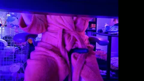 Bailey  online show from 04-12-26, 02:16