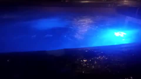 Snapshot of bakerbeachismygig chatting on 12-09-24, 04:45 bakerbeachismygig online show from 12-09-24, 04:45