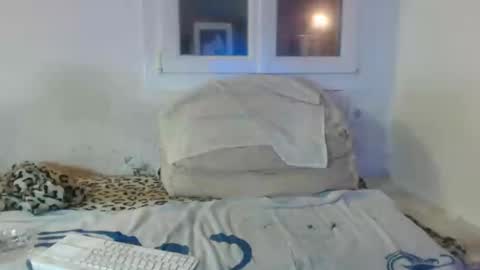 Snapshot of bambino6060 chatting on 12-02-24, 04:42 bambino6060 online show from 12-02-24, 04:42
