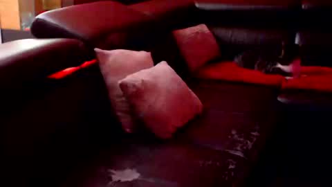 Snapshot of barbaraxxl chatting on 09-12-25, 08:31 BARBARA online show from 09-12-25, 08:31