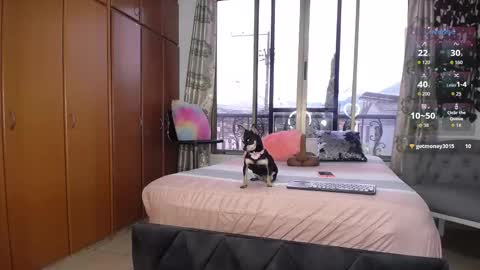 Barbiefoxx online show from 01-10-26, 03:36