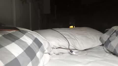 nevametafreaklikemeb4 online show from 03-24-26, 04:28