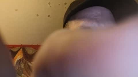 barniemay1 online show from 06-28-26, 12:33