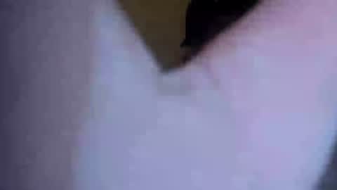 barniemay1 online show from 07-05-26, 04:41