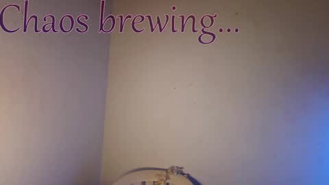 Your always sexy Harley online show from 04-20-26, 04:59