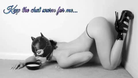Snapshot of batmansfavoritewife chatting on 07-11-26, 02:36 Your always sexy Harley online show from 07-11-26, 02:36