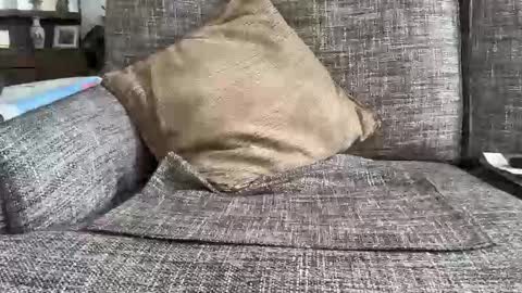 Snapshot of baykiwi54 chatting on 02-11-26, 10:26 baykiwi54 online show from 02-11-26, 10:26