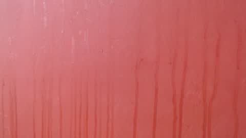 bayonette_black online show from 12-03-25, 08:18