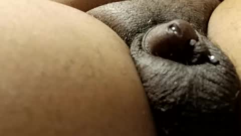 bcfalcon69 online show from 02-24-26, 11:58