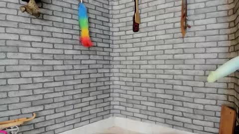 Meduza  online show from 11-29-25, 03:48