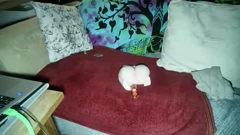 mikiforfun online show from 11-18-25, 11:26