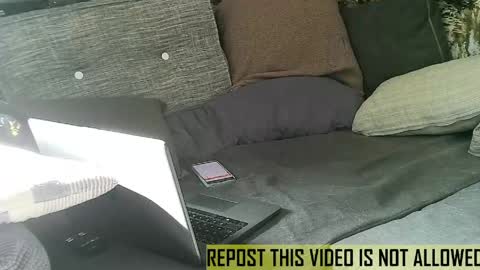 Snapshot of bearlov1 chatting on 05-14-26, 07:26 bearlov1 online show from 05-14-26, 07:26