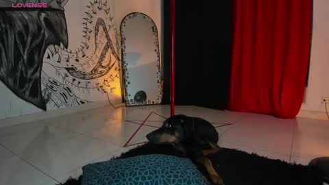 Daniela  ur fav living dead girl  online show from 01-05-25, 12:42