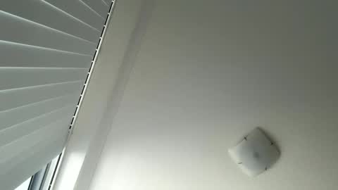 Snapshot of behindcloseddoorsau chatting on 05-26-26, 02:40 behindcloseddoorsau online show from 05-26-26, 02:40