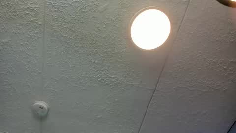  Bella  online show from 04-28-26, 07:41