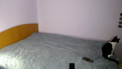 Snapshot of bellaqueen0701 chatting on 03-06-25, 05:33 bellaqueen0701 online show from 03-06-25, 05:33