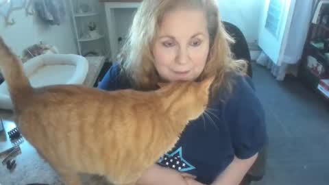Snapshot of bellavoca chatting on 04-11-26, 06:01 Bellavoca online show from 04-11-26, 06:01