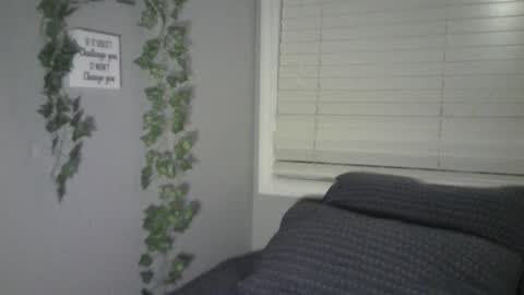 Snapshot of ben_dover10 chatting on 02-05-25, 11:34 Ben online show from 02-05-25, 11:34