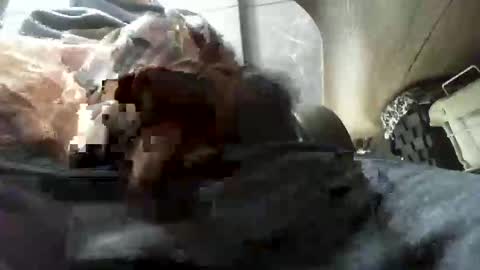 Snapshot of beninoam75 chatting on 01-09-26, 07:33 beninoam75 online show from 01-09-26, 07:33