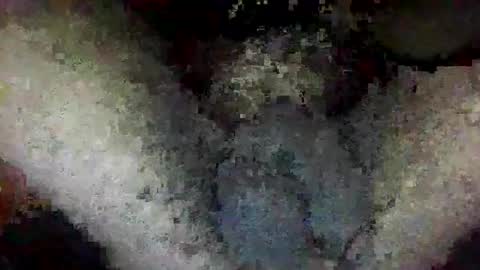 ToxicPipe757 online show from 01-14-26, 02:01