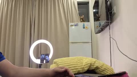 best_ass2000 online show from 05-14-26, 06:58